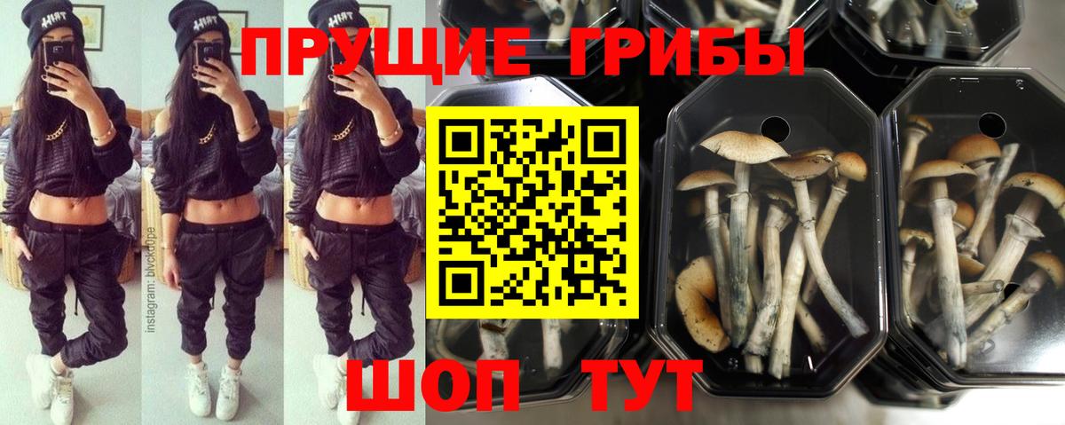 Ростов-на-Дону  Галлюциногенные грибы MAGIC MUSHROOMS  Вход с VPN 